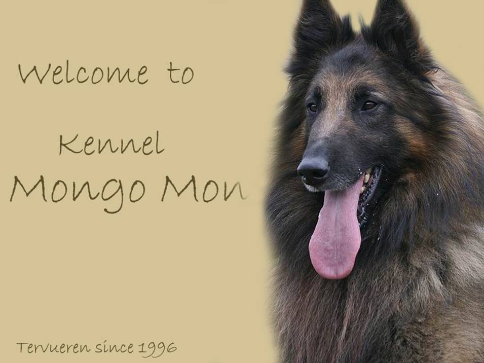 mongomonindex