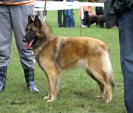 brigi_010a